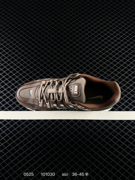 Nike P-6000 P-6000 Pegasus 25 Pegasus 2006 lifestyle