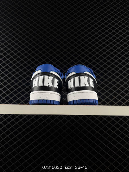 Nike Big Low 355152 black white blue EU 36-45 skate