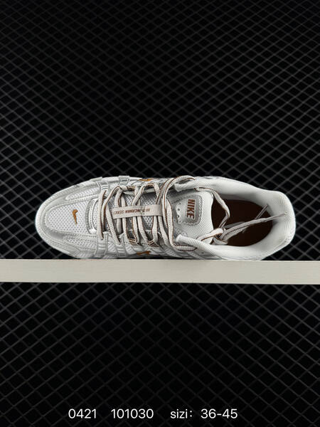 Nike P-6000 White Metallic Silver Brown EU 36-45 lifestyle