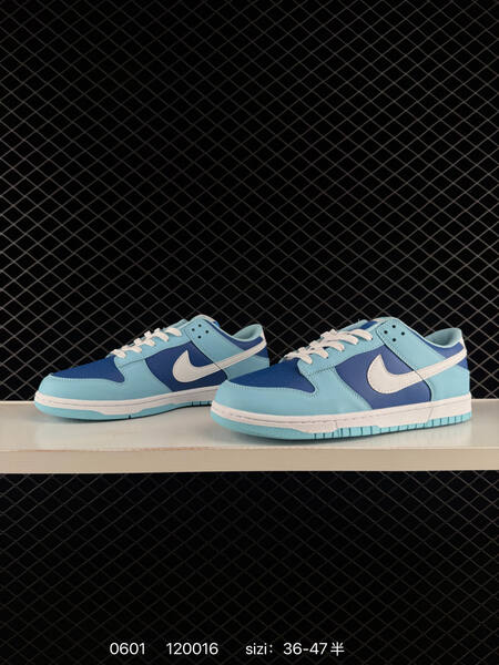 Nike Dunk Low Retro light blue dark blue white EU 36-47 skate