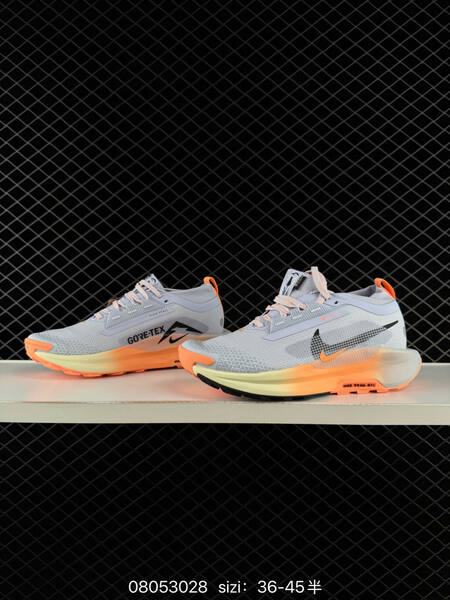 Nike Pegasus Trail 5 GORE-TEX light grey orange cream black EU 36-45