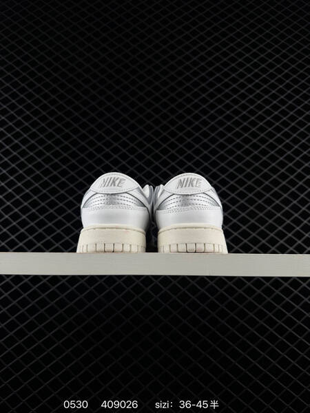 Nike Dunk Low white silver sail EU 36-45 skate