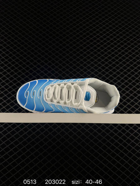 Nike Air MAX PLUS DM0032 003 36 37 5 38 39 40 41 42 43 44 45 46 20302 lifestyle
