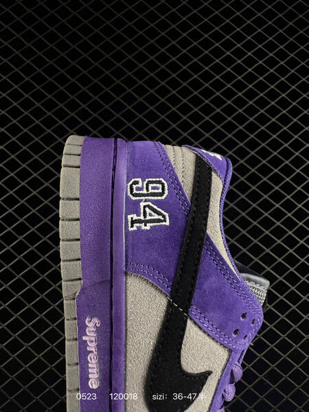 Nike Sb Dunk Low Pro lifestyle