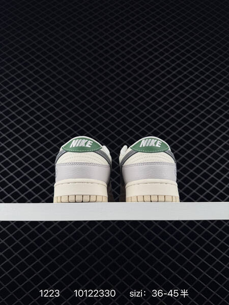 Nike Dunk Low Retro Sail Light Grey Green EU 36-45 5 casual Sail Light Grey Grey Green lifestyle