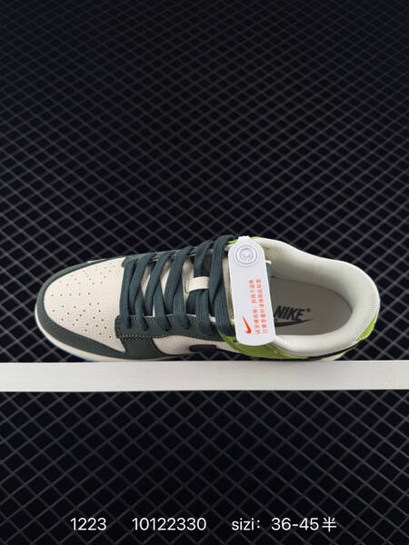 Nike Dunk Low Retro Sail Light Grey Green EU 36-45 5 casual Sail Light Grey Grey Green lifestyle