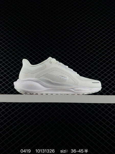 Nike Air Zoom Pegasus 41 GTX lifestyle