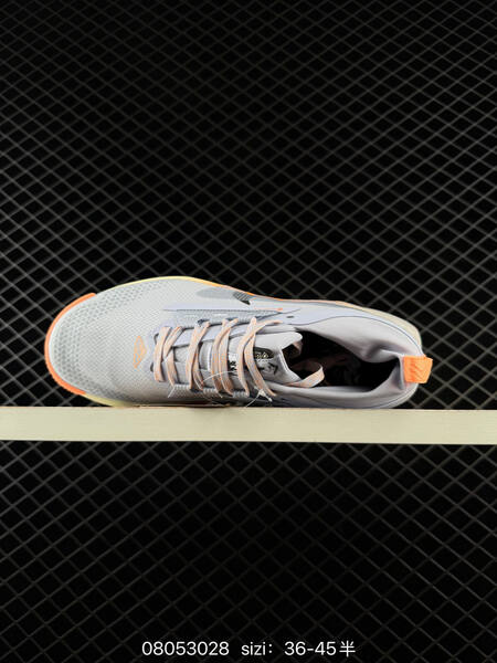 Nike Pegasus Trail 5 GORE-TEX light grey orange cream black EU 36-45