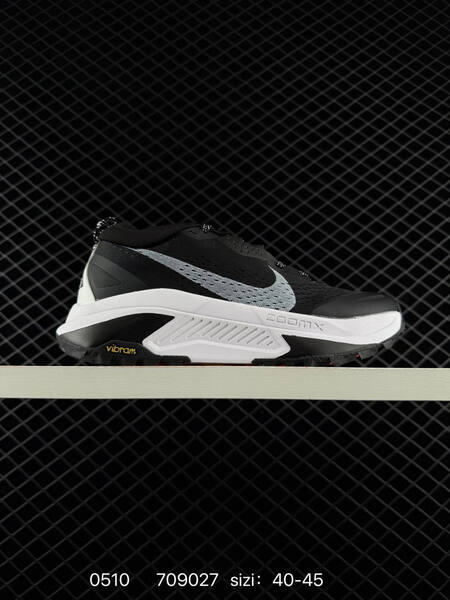Nike REACTX PEGASUS TRAIL 5 GTX multi color EU 40-45