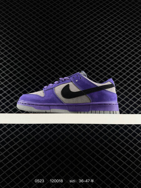 Nike Sb Dunk Low Pro lifestyle