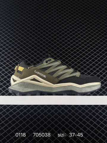 Other Adidas Lowa Maddox Pro GTX Monowrap Lifestyle (BS-76661)