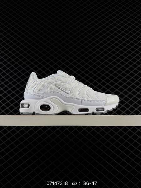 Nike Air Max Plus light blue white silver EU 36-47 running