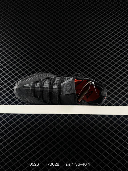 NIKE ACG MOUNTAIN FLY GTX lifestyle