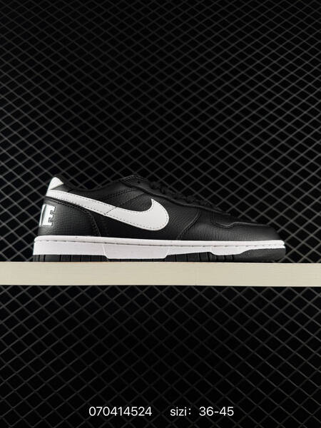 Nike Big Low 355152-106 white light blue black EU 36-45 skate