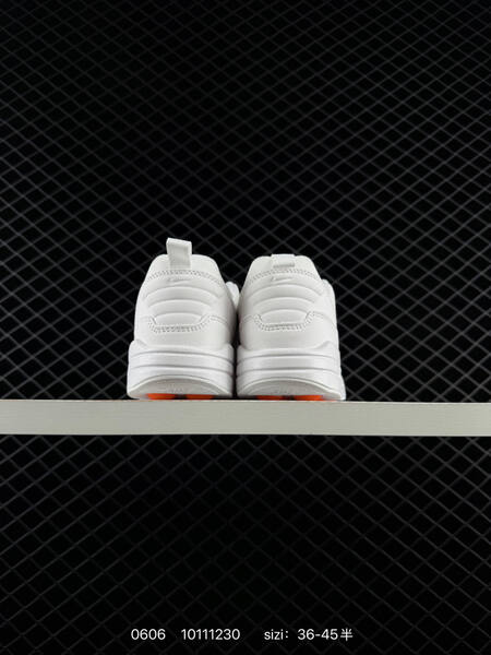 Nike Air Max 1 HQ4308-003 white metallic silver orange EU 36-45 lifestyle