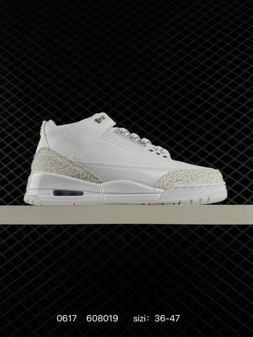 AJ3 Nike Air Jordan 3 Retro SE 3 Replica 3 AIR JORDAN 1988 Lifestyle (BS-79119)