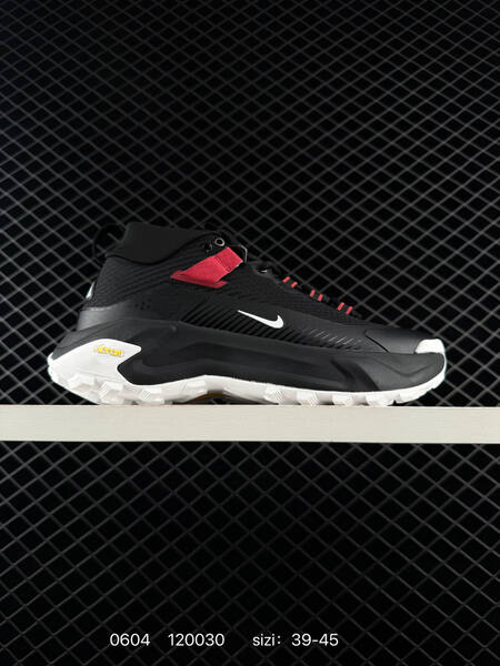 Nike ACG Mountain Fly GTX SE light grey black white EU 39-45 trail