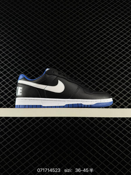 Nike Big Low 355152 white grey black blue EU 36-45 skate