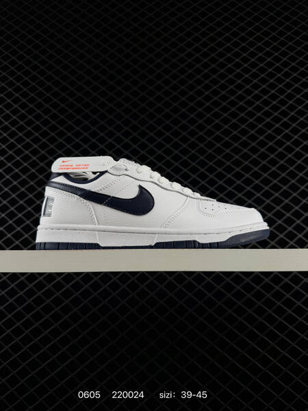 Nike Big Low 355152-106 white light blue black EU 39-45 skate