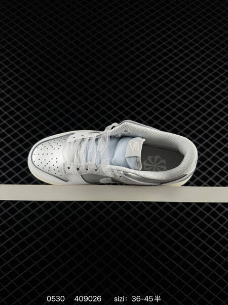 Nike Dunk Low white silver sail EU 36-45 skate