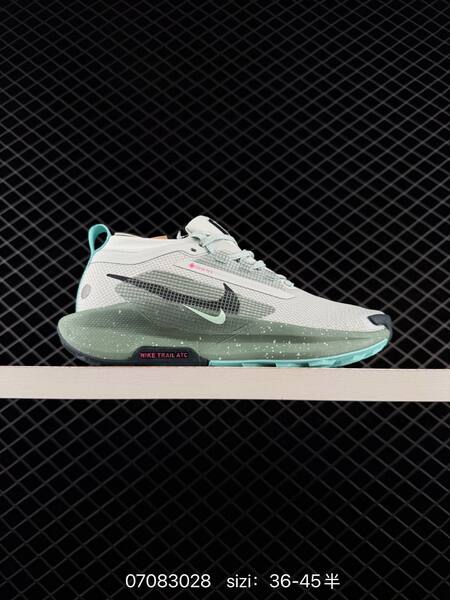 Nike Pegasus Trail 5 GORE-TEX light grey jade green black pink EU 36-45