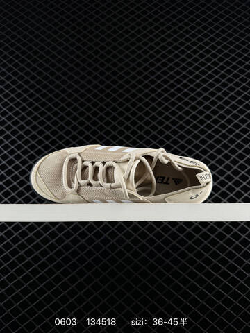 Other Adidas TERREX DAROGA TWO 13 S RDY Adidas HEA Lifestyle (BS-75404)