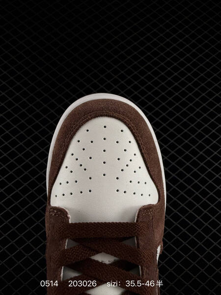 Nike Sb Dunk Low Pro lifestyle