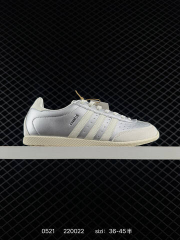 Other Adidas CHANGLE Lifestyle (BS-75540)