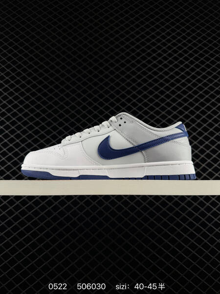 Nike Dunk Low white grey navy blue EU 40-45 skate