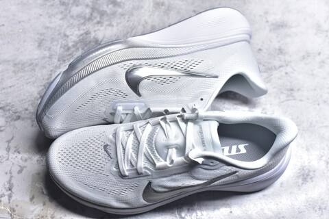 Nike Pegasus 42 IB1881-102 White Metallic Silver Grey Running Shoe - Men's (BS-59422)