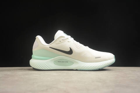 Nike Air Zoom Structure 26 Lifestyle (BS-59839)